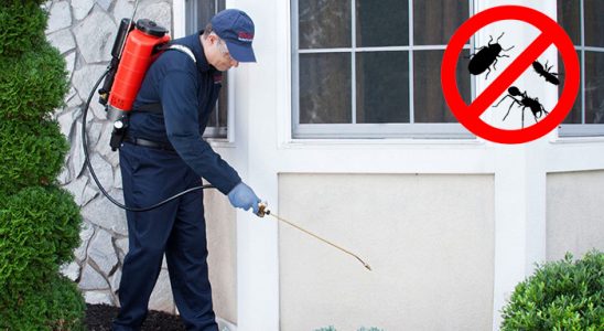 Karakoyunlu Akrep İlaçlama böcek ilaçlama ve haşere kontrolü — ilaclama-tr.com
